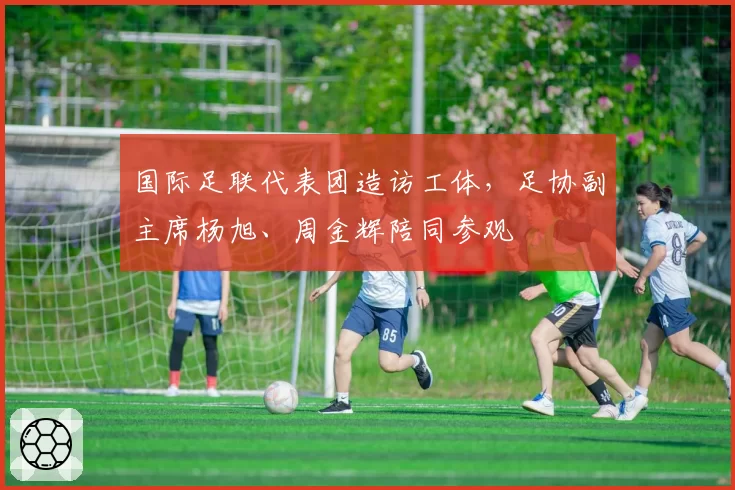 国际足联代表团造访工体，足协副主席杨旭、周金辉陪同参观